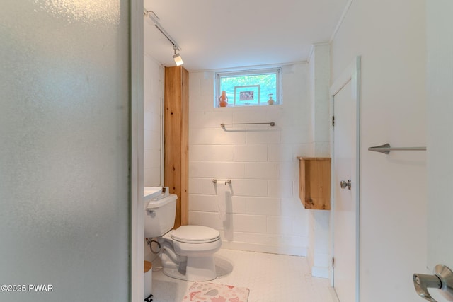 113 Jacobs Ladder Rd, Starrucca, PA 18462 - bathroom with toilet and concrete block wall