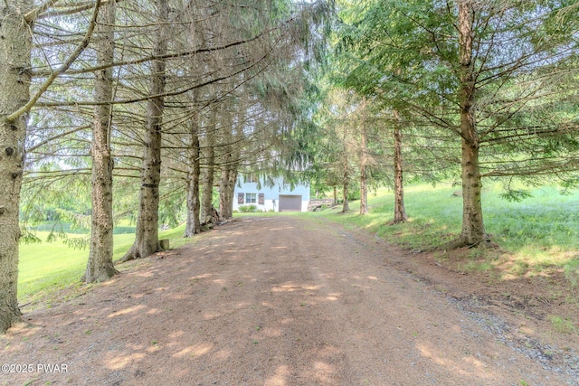 113 Jacobs Ladder Rd, Starrucca, PA 18462 - view of dirt / gravel driveway