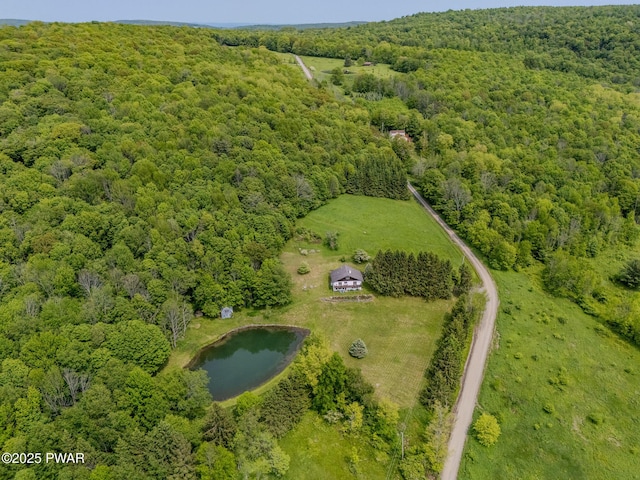 113 Jacobs Ladder Rd, Starrucca, PA 18462 - aerial view of a forest and a nearby body of water