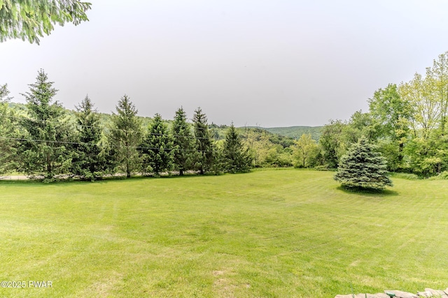 113 Jacobs Ladder Rd, Starrucca, PA 18462 - view of green lawn