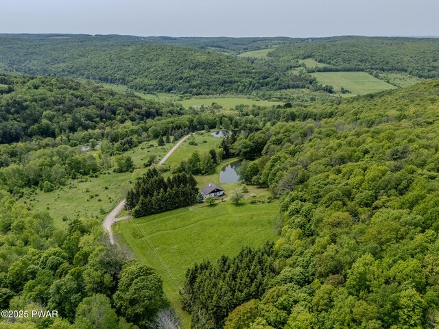 113 Jacobs Ladder Rd, Starrucca, PA 18462 - overview of rural landscape featuring a heavily wooded area