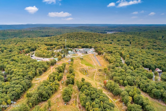 117 Rocky Rd, Lackawaxen, PA 18435