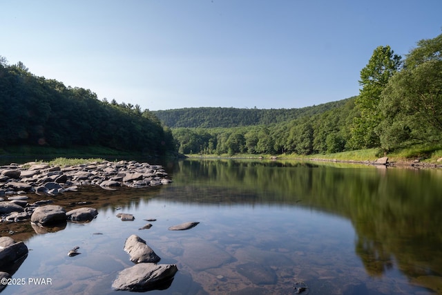 117 Rocky Rd, Lackawaxen, PA 18435