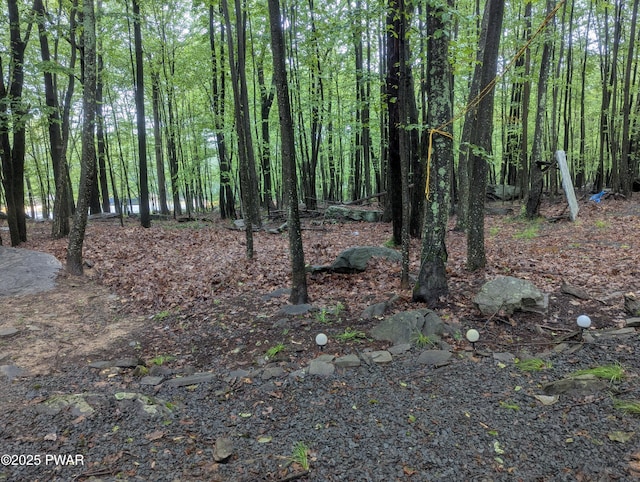 118 Heron Cir, Shohola, PA 18458 - photo 8