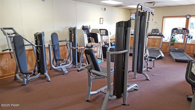 exercise room with wooden walls, a paneled ceiling, and wainscoting