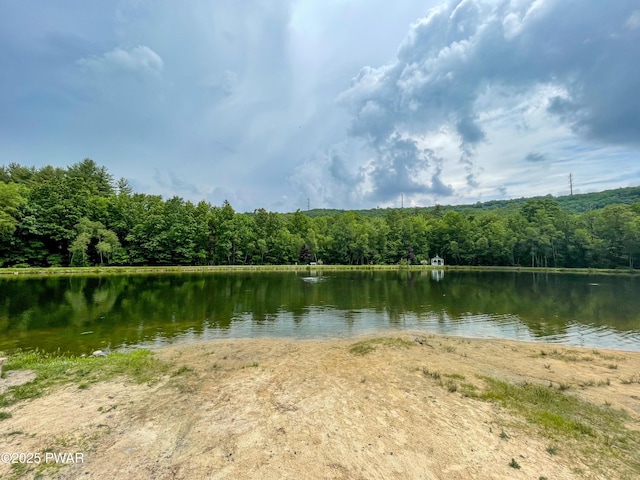 property view of water with a forest view