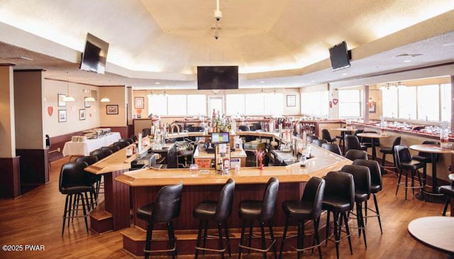 bar featuring a dry bar, a raised ceiling, and wood finished floors