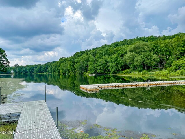 dock area featuring a wooded view and a water view