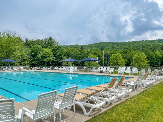 pool with a patio, fence, and a view of trees