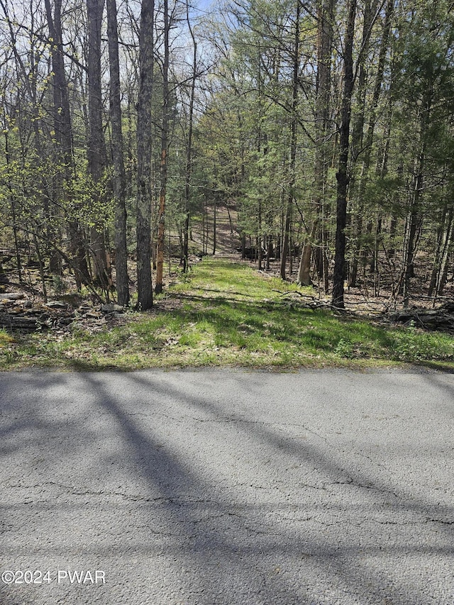 3 Spruce St, Hawley PA, 18428 land for sale