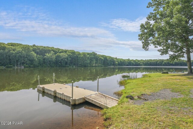 1085 Dewberry Dr, Hawley, PA 18428 - photo 56