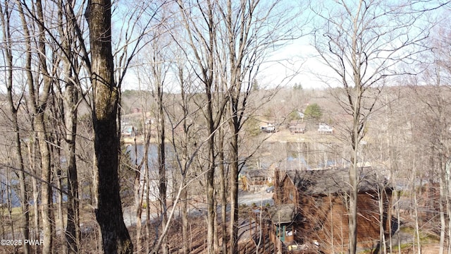 171 Ridgeview Dr, Lake Ariel, PA 18436 - photo 4