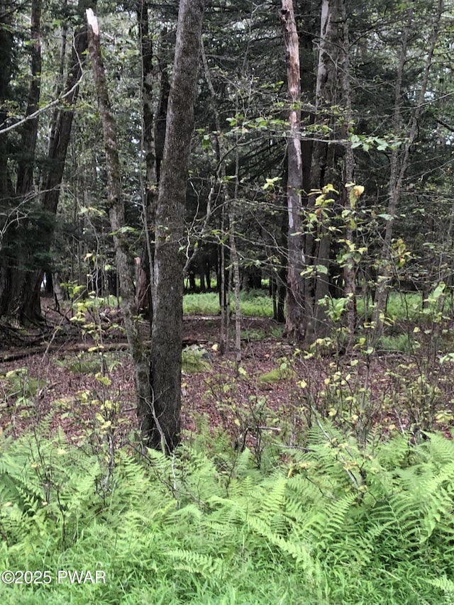 1 Shoshoni Trl, Gouldsboro, PA 18424 - photo 8