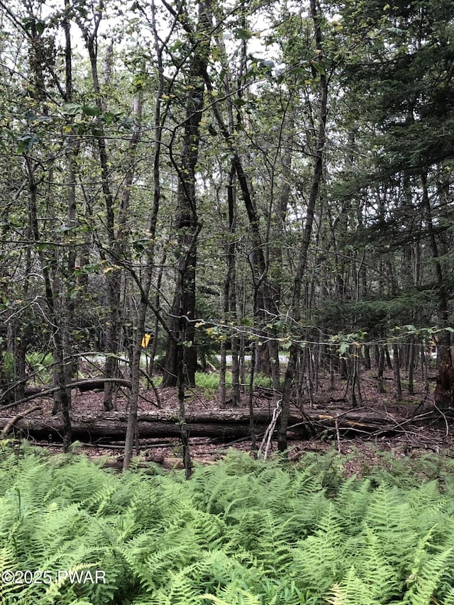 1 Shoshoni Trl, Gouldsboro, PA 18424 - photo 6