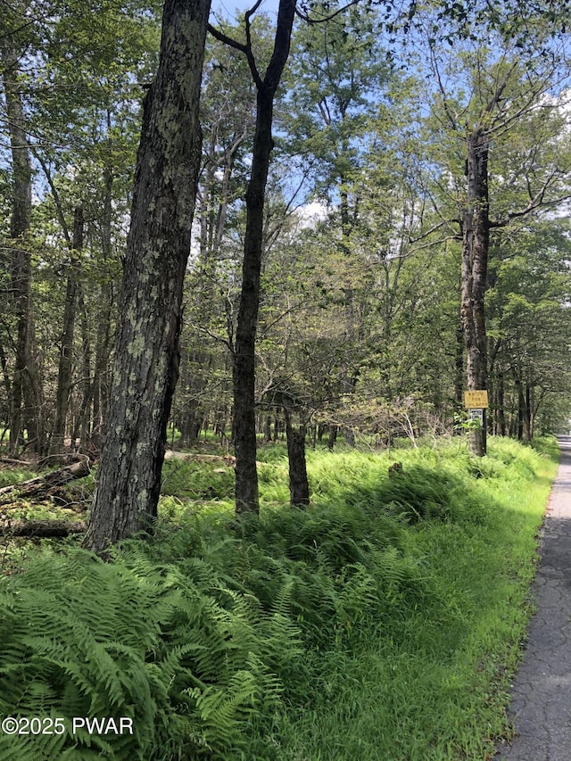 1 Shoshoni Trl, Gouldsboro, PA 18424 - photo 13