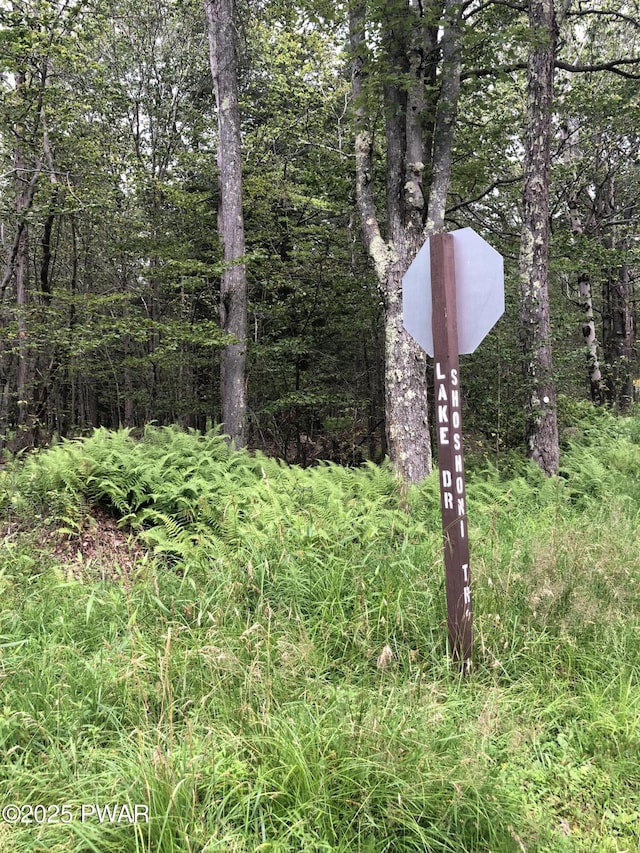 1 Shoshoni Trl, Gouldsboro, PA 18424 - photo 4