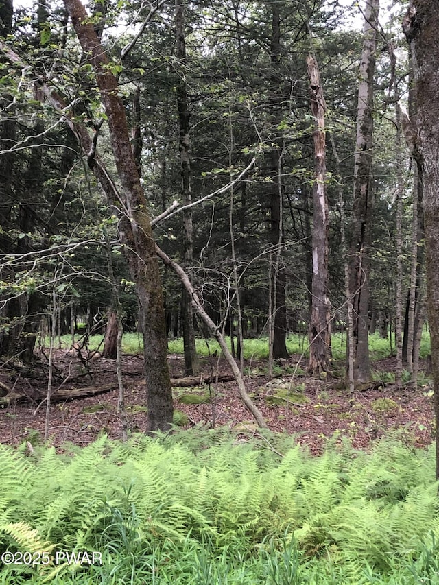 1 Shoshoni Trl, Gouldsboro, PA 18424 - photo 7