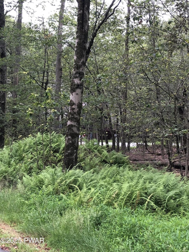 1 Shoshoni Trl, Gouldsboro, PA 18424 - photo 10