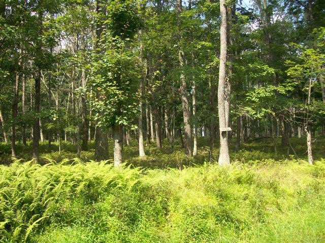 Listing photo 2 for LOT95 White Tail Cir, Hawley PA 18428