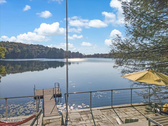 dock area with a water view