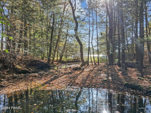 view of nature