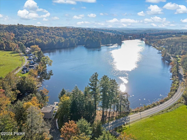 view of water feature