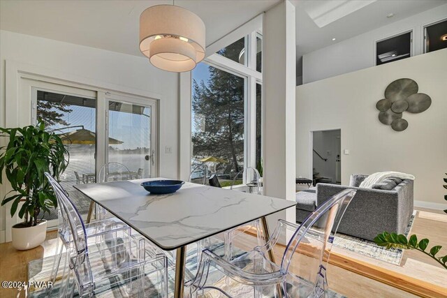 dining room with a wealth of natural light and wood-type flooring