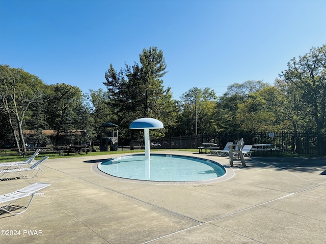 view of swimming pool with a patio