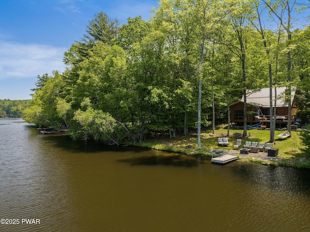 102 Lake Run, Greentown, PA 18426 - dock featuring a water view and a forest view
