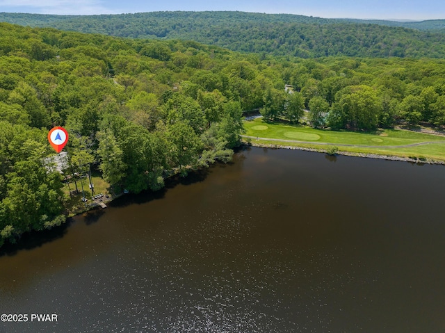 102 Lake Run, Greentown, PA 18426 - view of property location featuring a heavily wooded area and a nearby body of water