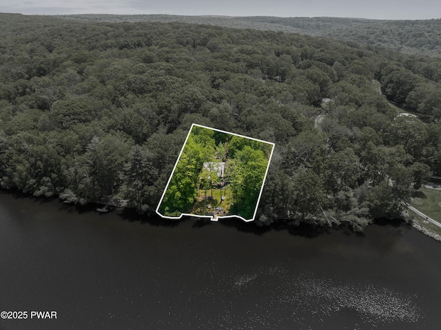 102 Lake Run, Greentown, PA 18426 - aerial view of property's location with a heavily wooded area and property parcel outlined