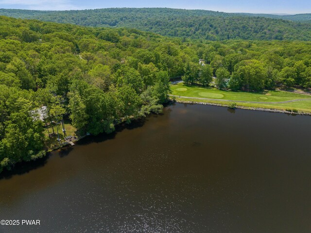 102 Lake Run, Greentown, PA 18426 - aerial overview of property's location featuring a forest and a nearby body of water
