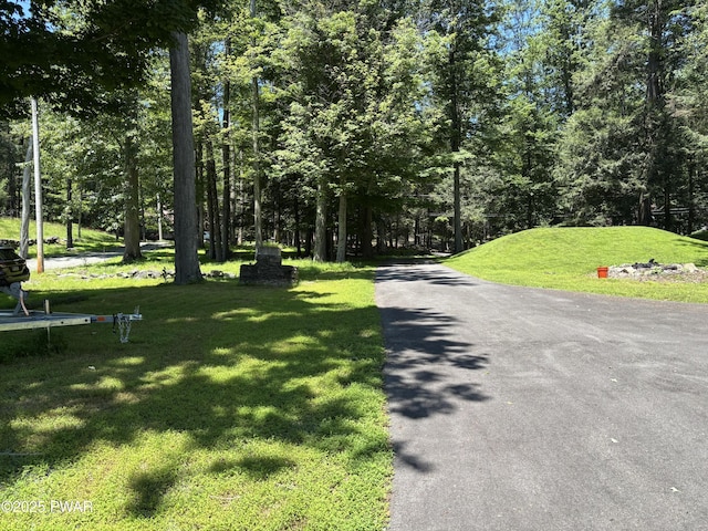 22 Glen Rd, Lake Ariel, PA 18436 - view of road