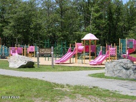 view of jungle gym