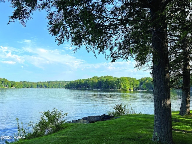 1267 Brookfield Rd, Lake Ariel, PA 18436 - water view featuring a heavily wooded area