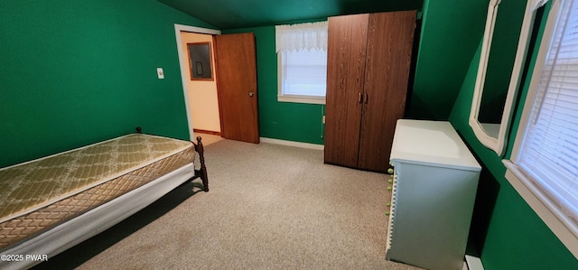 640 Rte 434, Shohola, PA 18458 - carpeted bedroom with vaulted ceiling and electric panel