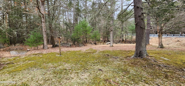 640 Rte 434, Shohola, PA 18458 - view of yard