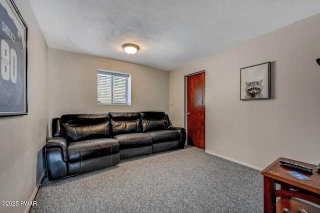 98 Roamingwood Rd, Lake Ariel, PA 18436 - living area with carpet, a textured ceiling, and baseboards
