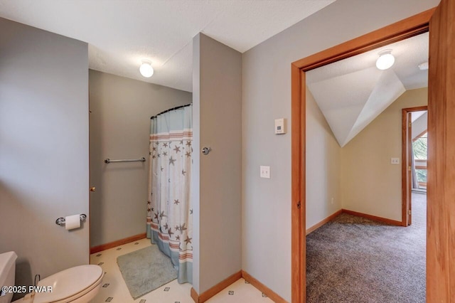 98 Roamingwood Rd, Lake Ariel, PA 18436 - bathroom featuring vaulted ceiling, baseboards, a shower with shower curtain, and toilet