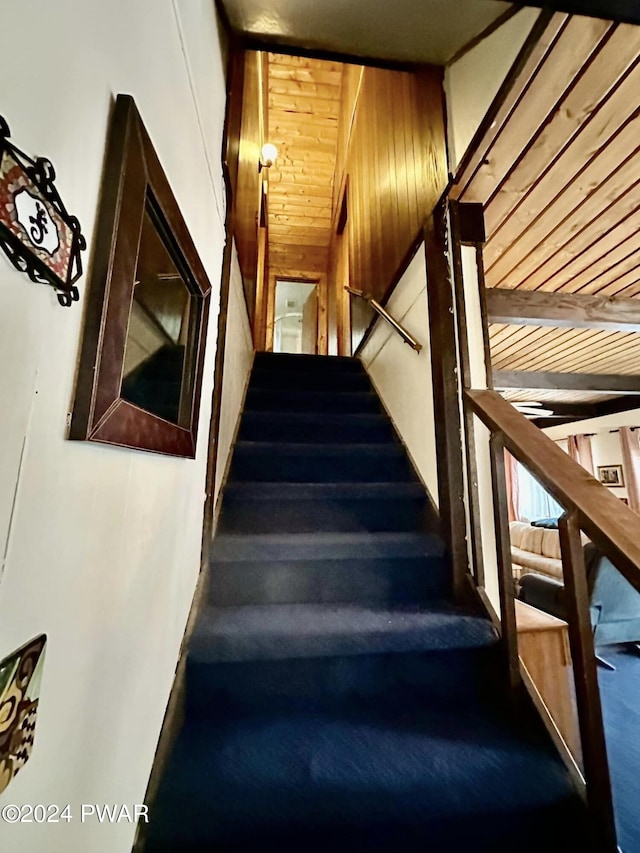 stairs featuring wood walls