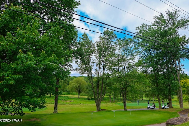 159 Windemere Ln, Lake Ariel, PA 18436 - view of home's community with an area to practice putting, a yard, and view of wooded area