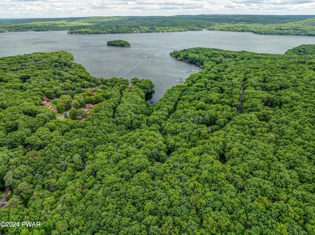 10 Cove Point Cir, Lakeville, PA 18438 - aerial view of a heavily wooded area and a large body of water