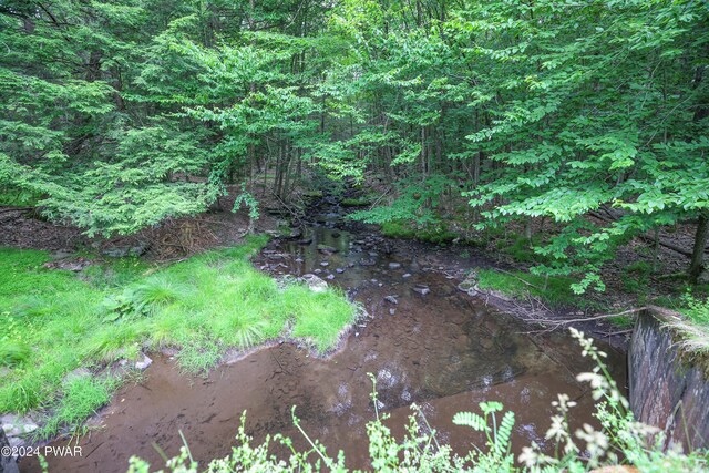 10 Cove Point Cir, Lakeville, PA 18438 - view of local wilderness