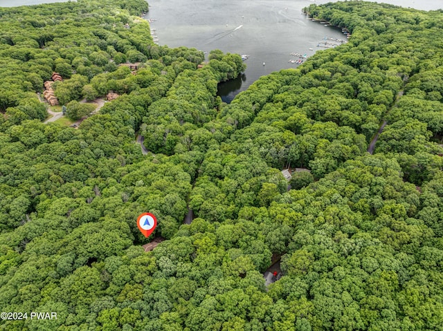 10 Cove Point Cir, Lakeville, PA 18438 - aerial view of a heavily wooded area