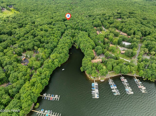 10 Cove Point Cir, Lakeville, PA 18438 - bird's eye view of a large body of water and a heavily wooded area
