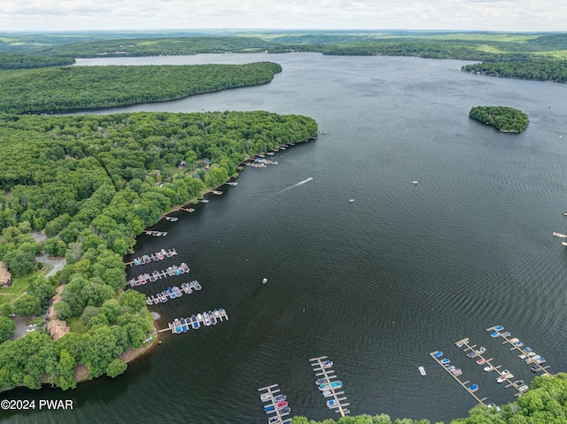 10 Cove Point Cir, Lakeville, PA 18438 - aerial view of a nearby body of water