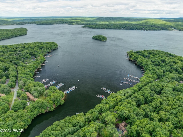 10 Cove Point Cir, Lakeville, PA 18438 - drone / aerial view of a nearby body of water and numerous boat docks
