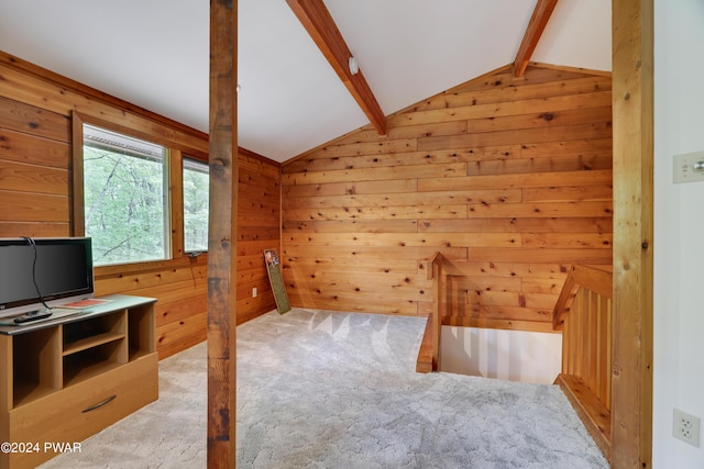 10 Cove Point Cir, Lakeville, PA 18438 - bonus room with wooden walls and carpet floors