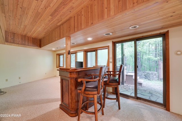 10 Cove Point Cir, Lakeville, PA 18438 - indoor dry bar featuring light carpet, wood ceiling, and recessed lighting