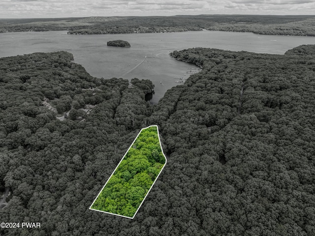 10 Cove Point Cir, Lakeville, PA 18438 - view of property location with a nearby body of water and property parcel outlined